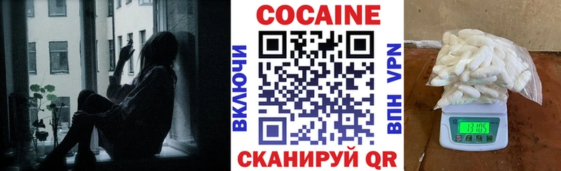 COCAIN Fish Scale  mega как зайти  Воронеж 