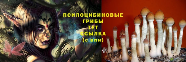 СК Белокуриха