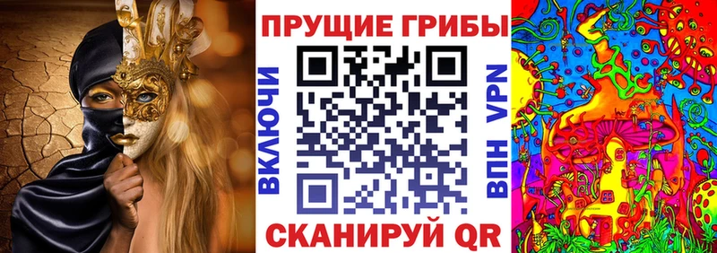 ссылка на мегу зеркало  Воронеж  Псилоцибиновые грибы MAGIC MUSHROOMS 